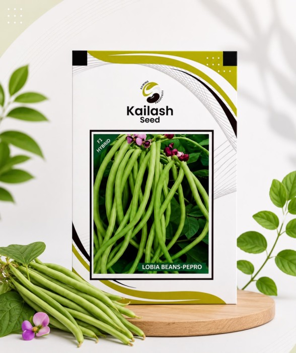 Lobia Beans